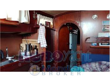 Trintella Trintella II