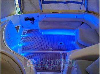 Salpa Laver 31.5