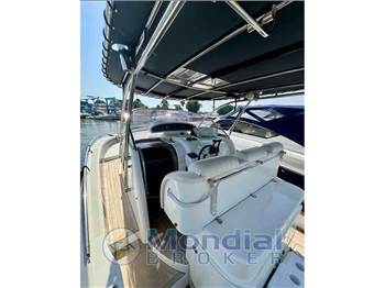 Firebird 36