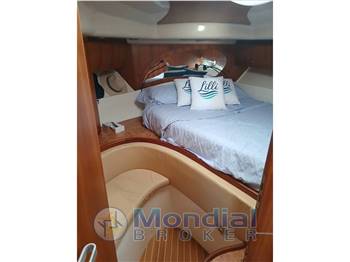 Salpa Laver 38.5