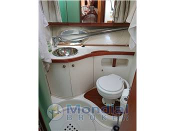 Salpa Laver 38.5