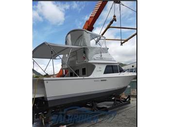 Blackfin 29