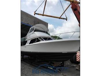Blackfin 29