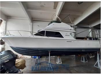 Blackfin 29