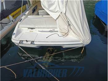 Sea Ray 190 BR