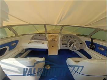 Sea Ray 190 BR
