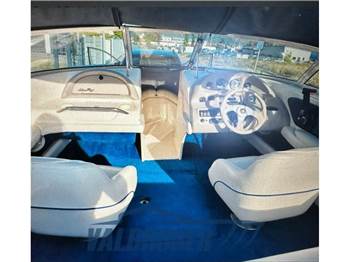 Sea Ray 190 BR