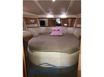 Sealine S 41