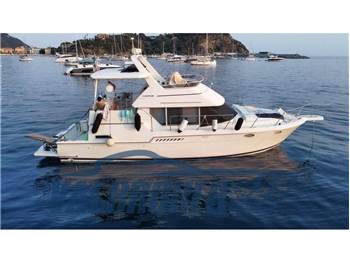 Carver Boat 400