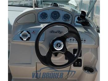 Sea Ray 255 DA Sundancer