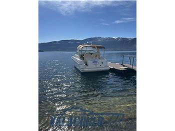 Sea Ray 310 SUNDANCER