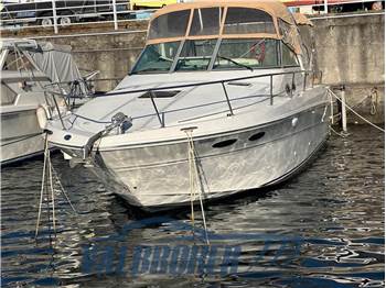 Sea Ray 310 SUNDANCER
