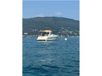 Sea Ray 310 SUNDANCER