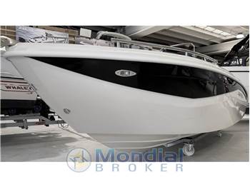 Trimarchi Diamond 195