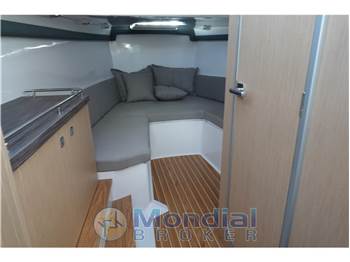 Salpa Soleil 33