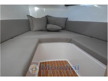 Salpa Soleil 33