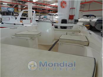 Quicksilver 500 Fish