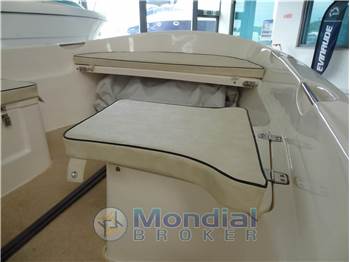 Quicksilver 500 Fish