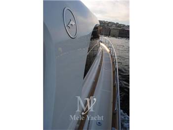 Mochi 51 Dolphin