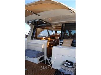Mochi 51 Dolphin