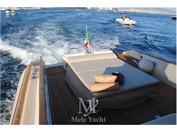 Mochi 51 Dolphin