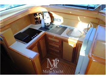 Mochi 51 Dolphin