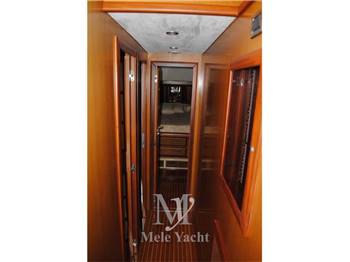 Mochi 51 Dolphin