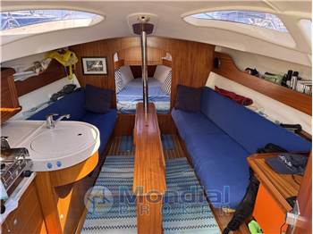 Delphia 28 Sport