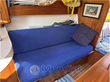 Delphia 28 Sport