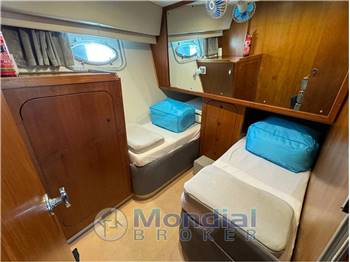 Birchwood 44 TS