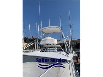 Cabo Yacht Cabo 45