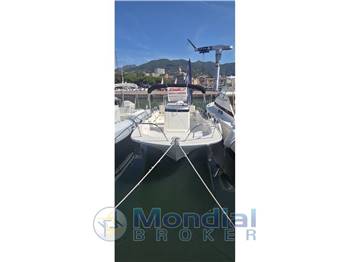 Boston Whaler 210 Montauk