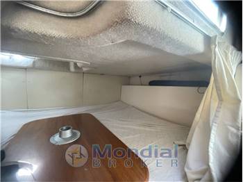 Sessa Oyster 25