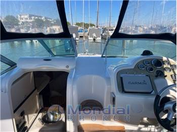 Sessa Oyster 25