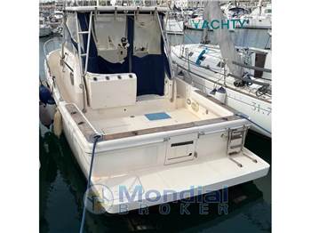 Cayman 30 WA
