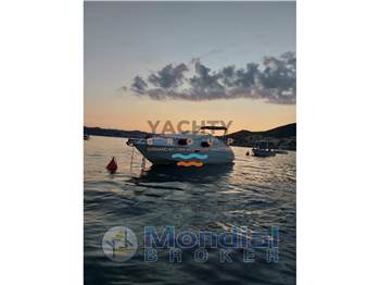 Chris Craft 258 concept
