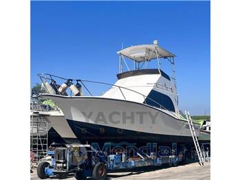 Albemarle 32' Fly