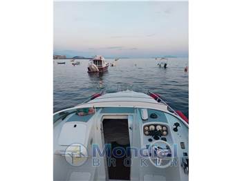 Chris Craft 258 concept