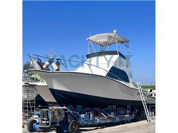 Albemarle 32' Fly