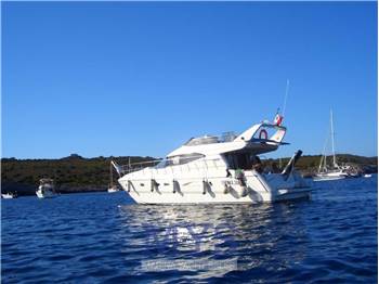 Azimut AZ 43