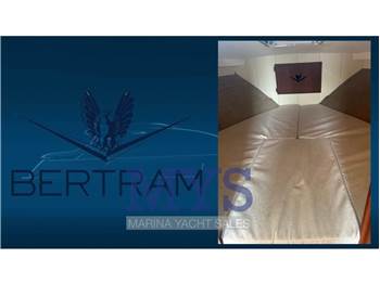 Bertram Yacht 28 Fly