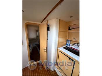 BRUNO ABBATE PRIMATIST G 41