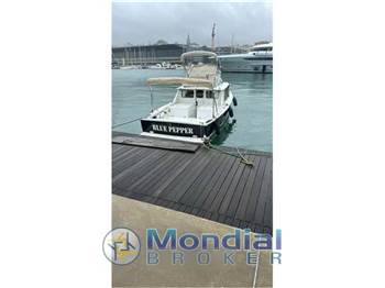 Bertram 31