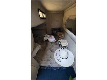 Sea Ray 250 Sundancer
