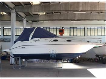 Sea Ray 250 Sundancer