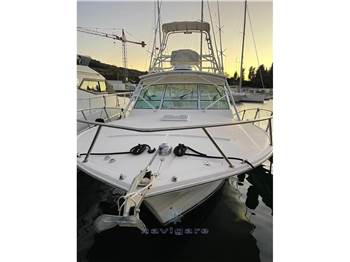 Carolina Classic CC 32