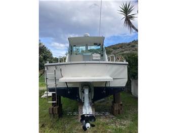 Dellapasqua DC 7 Sedan