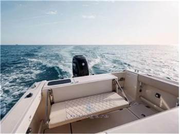 Tuccoli Marine T250 VMax