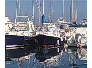 Parente DELFINO 7.5 CABIN
