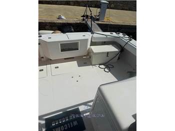 Bertram Yacht 360 Moppie